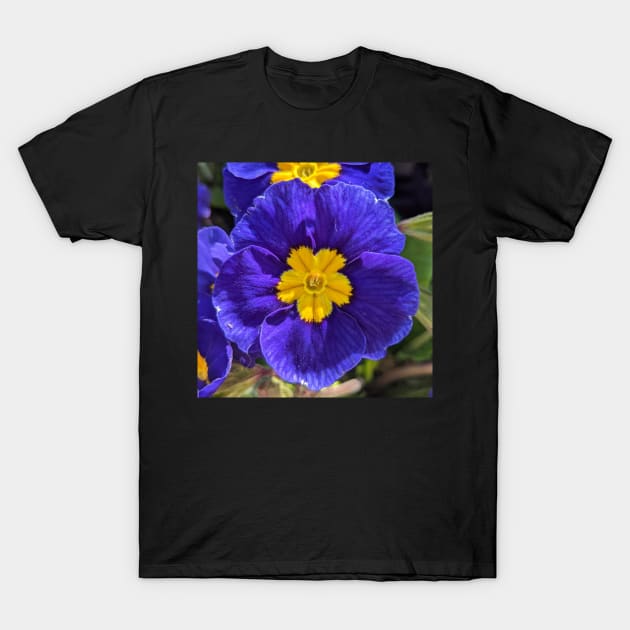 Bright Blue and Yellow Flowers T-Shirt by AustaArt